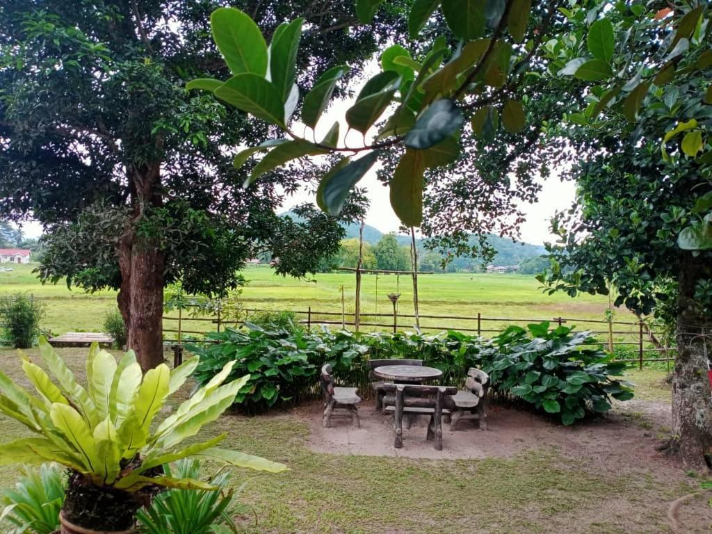 Kampung Tok Lembut Vacation Home Pantai Cenang  Ngoại thất bức ảnh