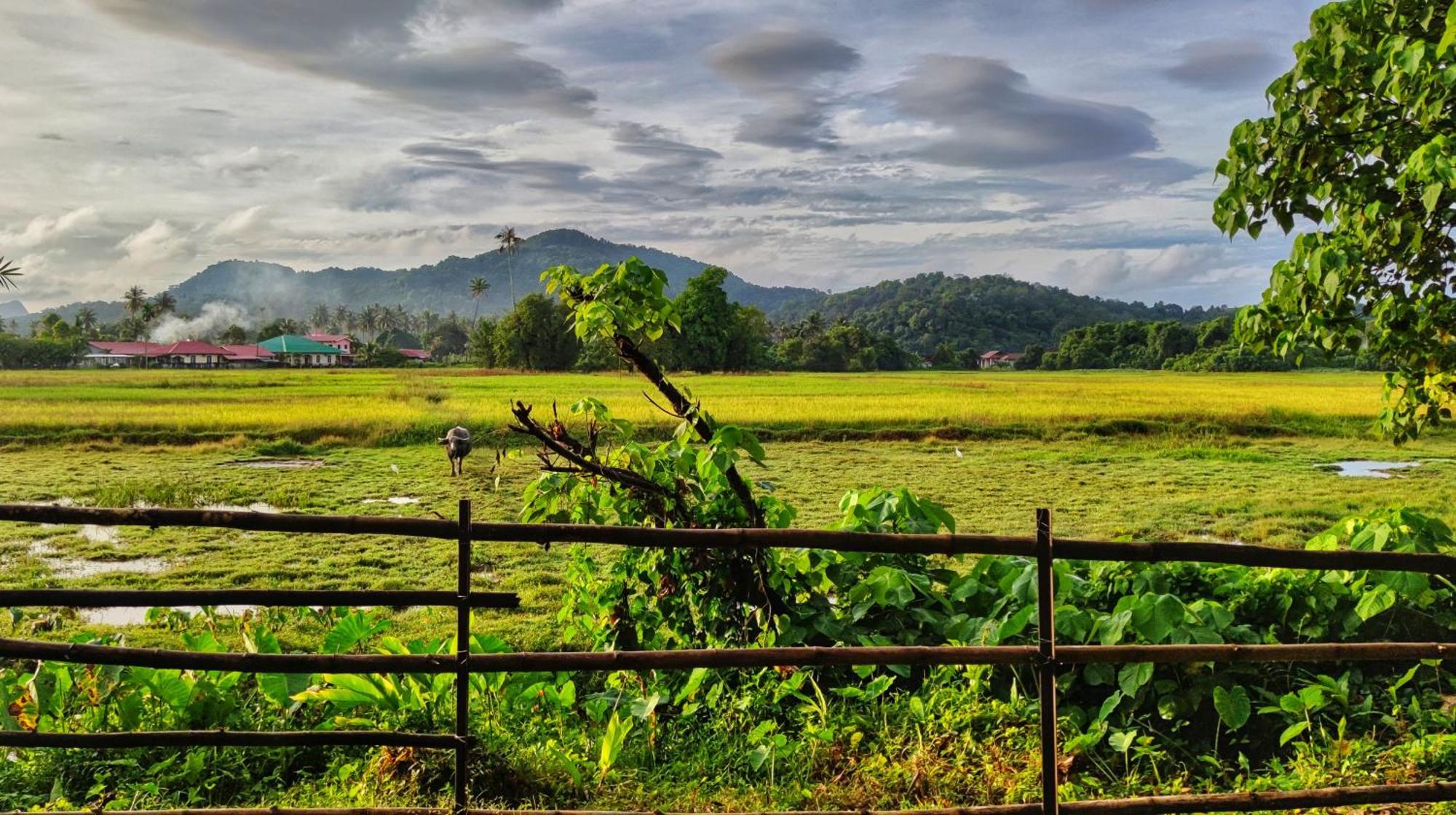 Kampung Tok Lembut Vacation Home Pantai Cenang  Ngoại thất bức ảnh