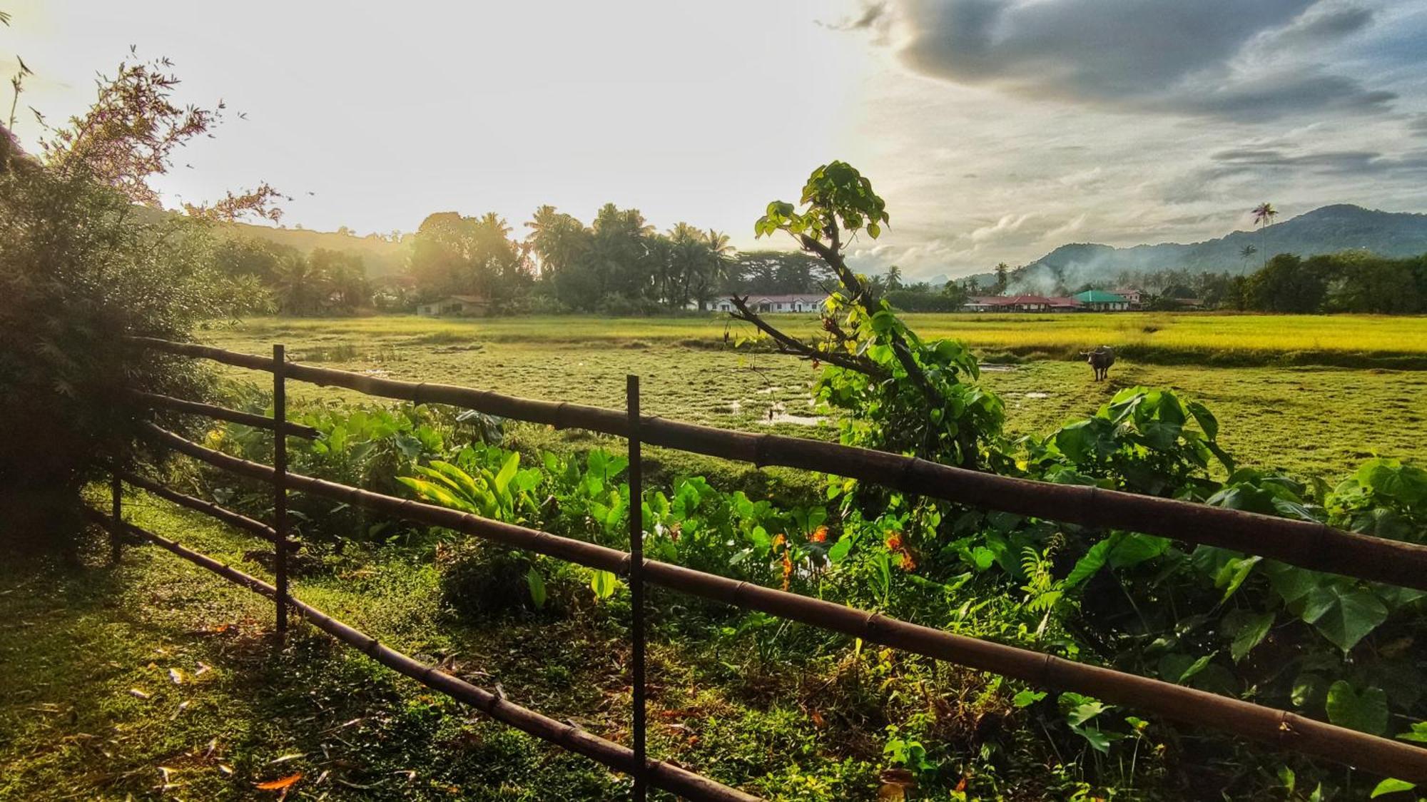 Kampung Tok Lembut Vacation Home Pantai Cenang  Ngoại thất bức ảnh